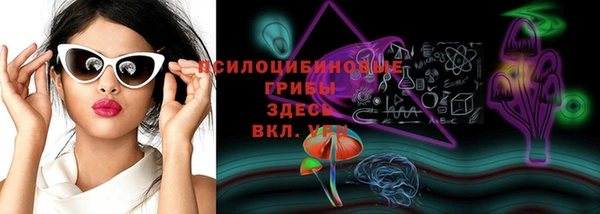дмт Ростов