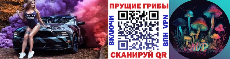 МЕГА вход Курчатов Галлюциногенные грибы Psilocybine cubensis