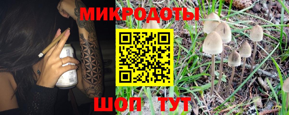Курчатов  Галлюциногенные грибы мицелий  Вход с VPN 